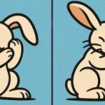 Szuper IQ teszt: találj 3 különbséget egy nyúl képén 85