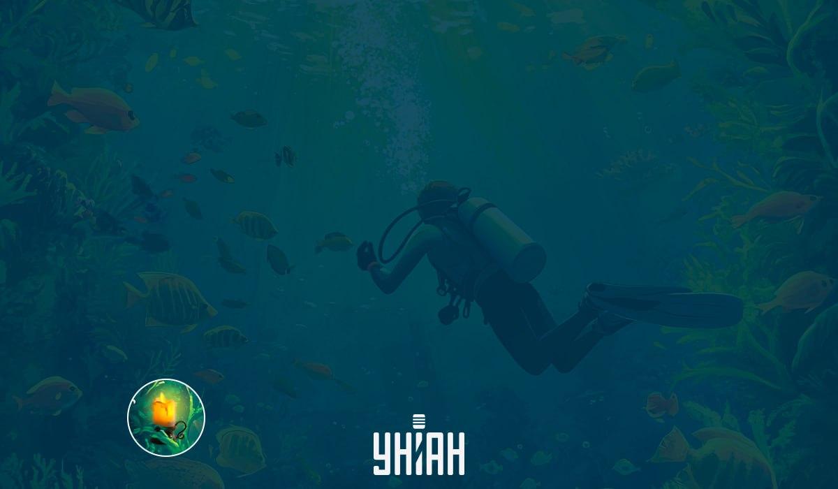 Kép IQ teszt / kép Moje